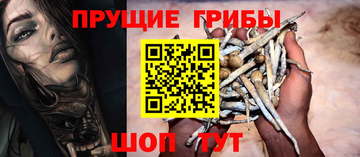 Псилоцибиновые грибы Psilocybine cubensis  Вход с VPN  Псилоцибиновые грибы прущие грибы  Сунжа 