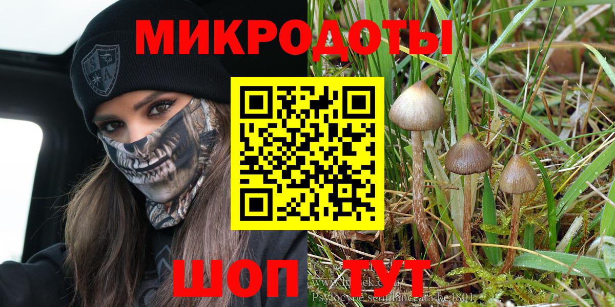 Псилоцибиновые грибы ЛСД Сунжа